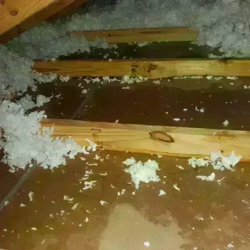 Attic Water Damage in Lowell, NC