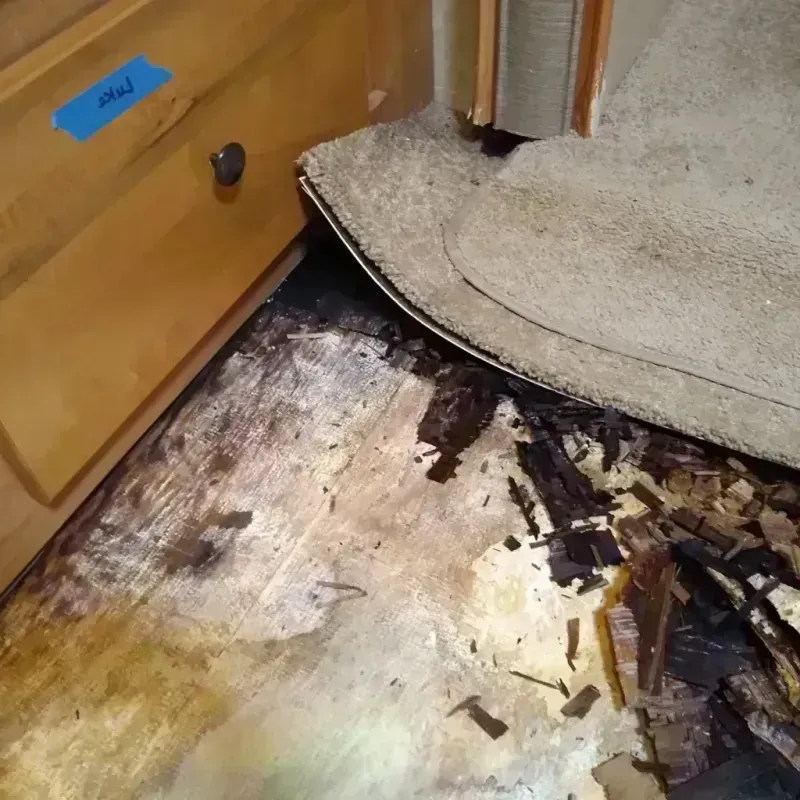 Best Wood Floor Water Damage Service in Lowell, NC